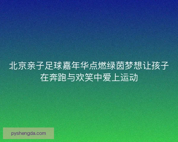 北京亲子足球嘉年华点燃绿茵梦想让孩子在奔跑与欢笑中爱上运动